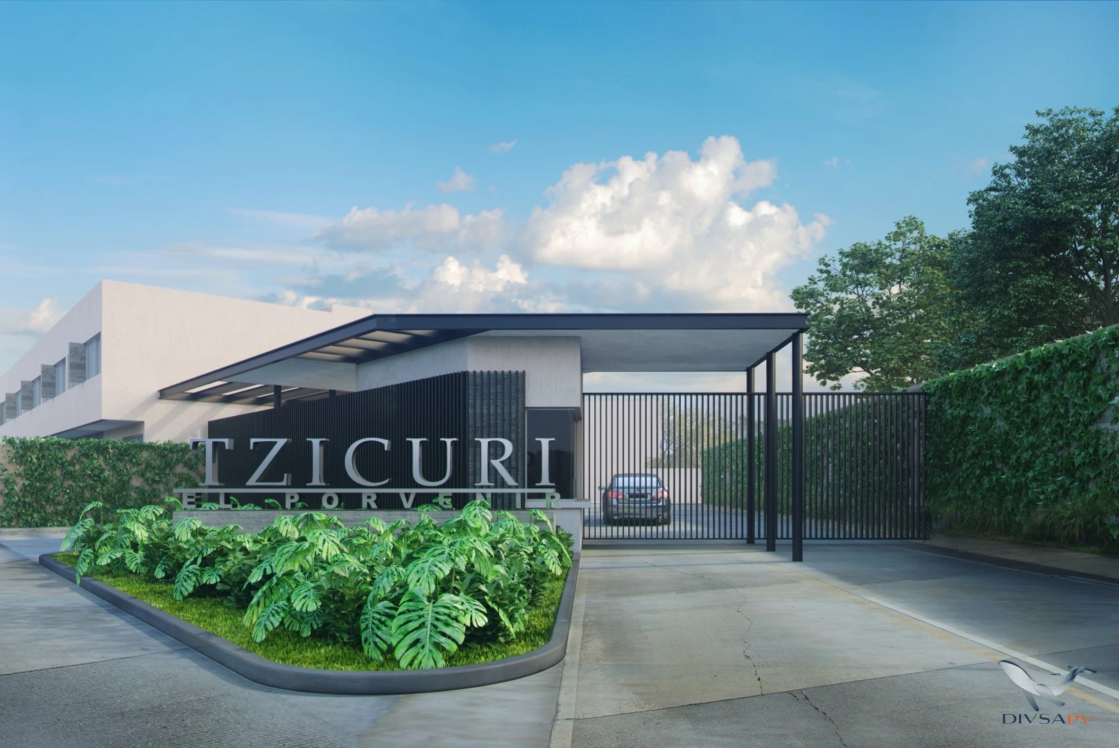 Tzicuri